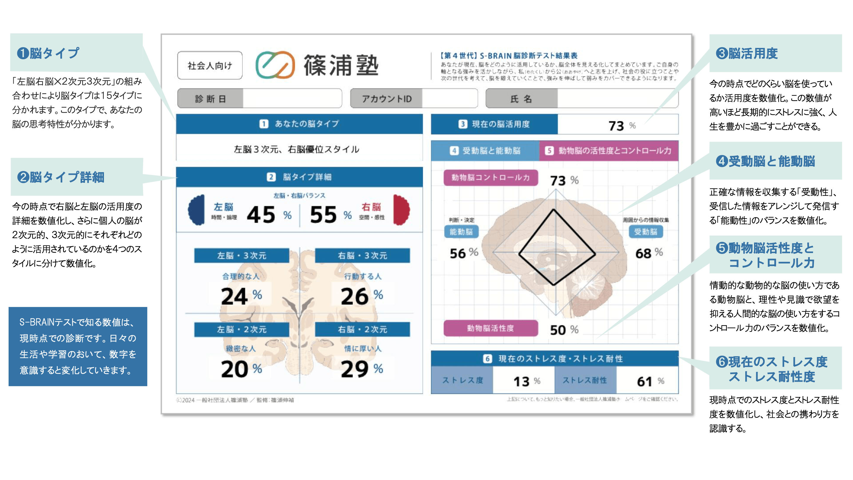 S-Brain（篠浦脳活用度診断）の結果図サンプル