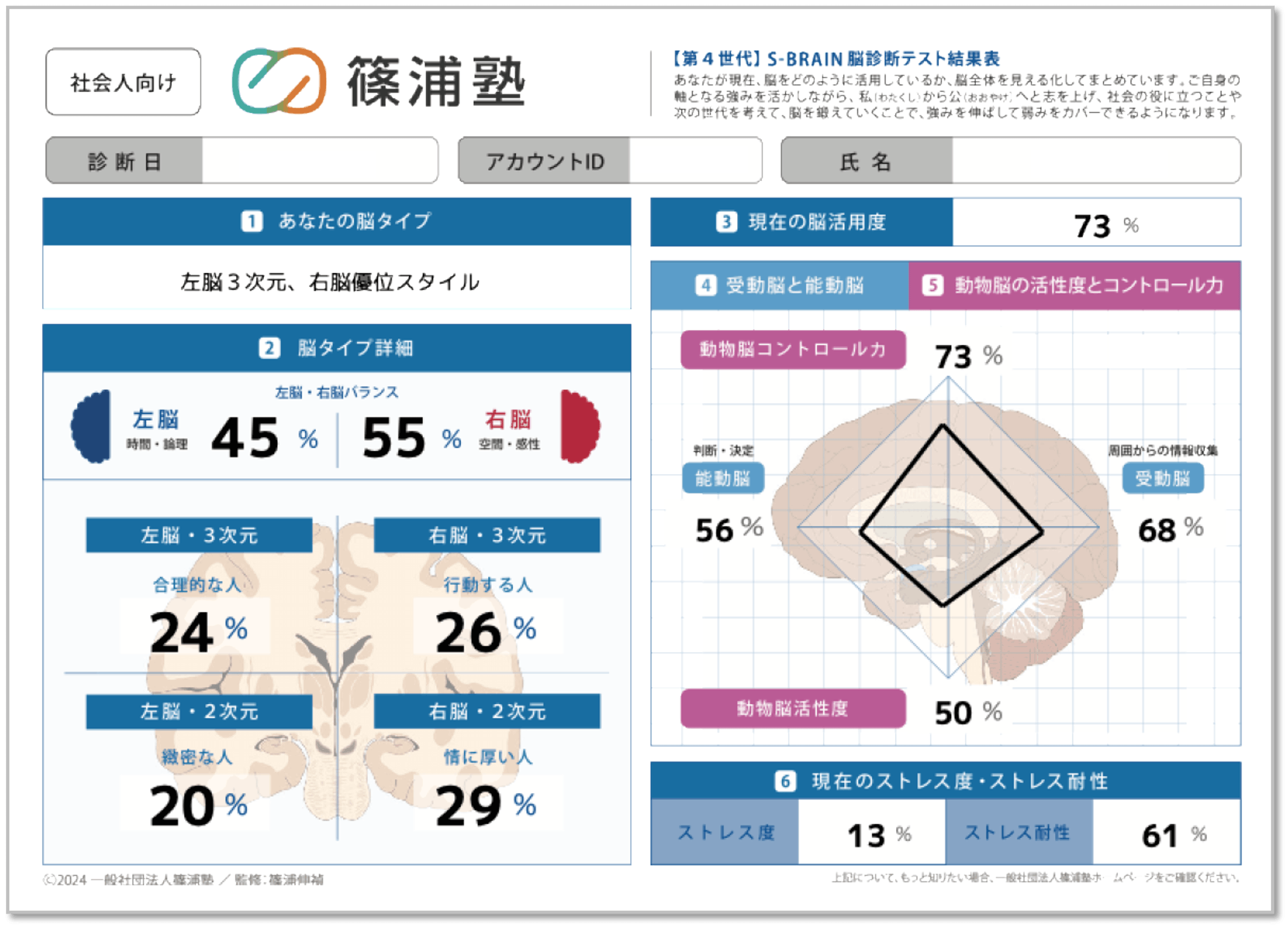 S-Brain（篠浦脳活用度診断）の結果図サンプル